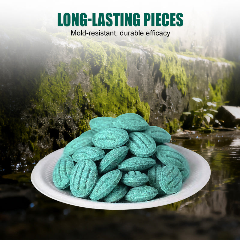 🎁Limited-time offer: Buy two. get one free High-Potency Rodent Bait✨