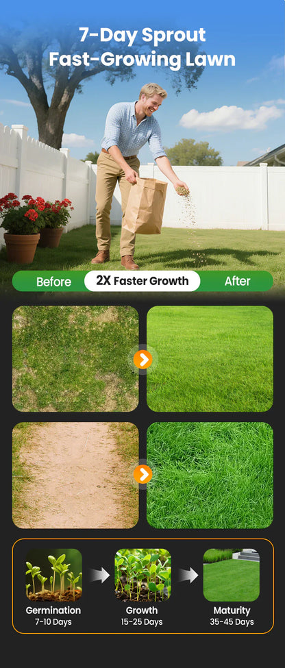 🌱  Cold-resistant. drought-resistant. pet-friendly garden grass seeds - evergreen lawn grass seeds