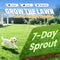 🌱  Cold-resistant. drought-resistant. pet-friendly garden grass seeds - evergreen lawn grass seeds