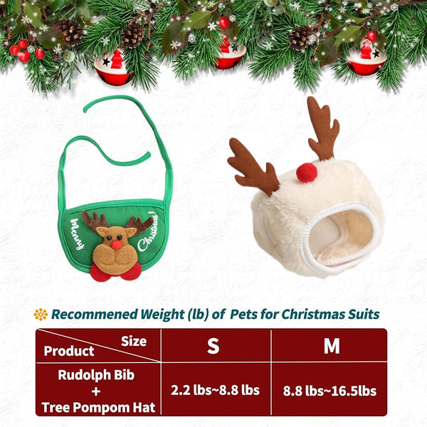 Adorable Christmas Tree Pom-Pom Hat