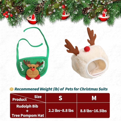 Adorable Christmas Tree Pom-Pom Hat