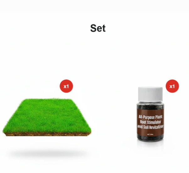 🌱  Cold-resistant. drought-resistant. pet-friendly garden grass seeds - evergreen lawn grass seeds