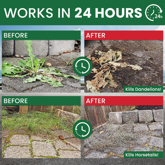 Weed Destruction Powder