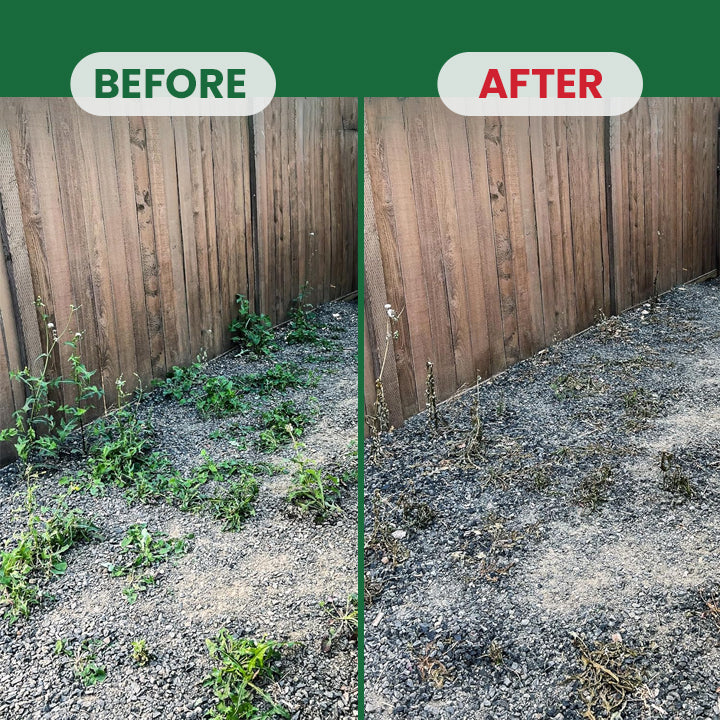 Weed Destruction Powder