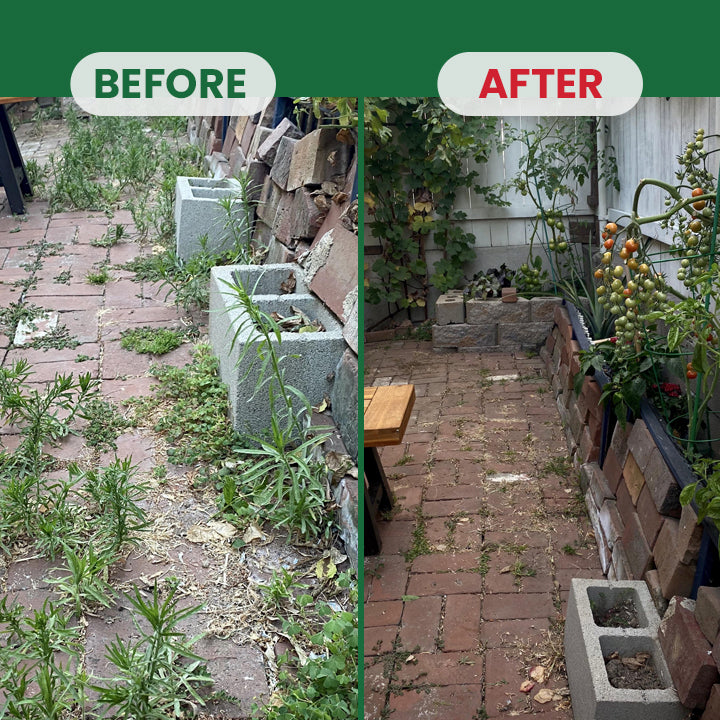Weed Destruction Powder