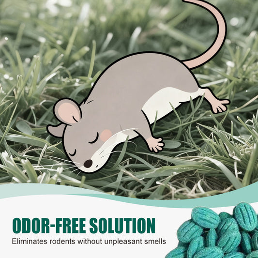 🎁Limited-time offer: Buy two. get one free High-Potency Rodent Bait✨