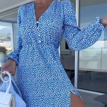 Women's Blue Printed V-neck Long-sleeve Dress