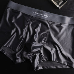 🔥Men's Satin Ice Silk Briefs