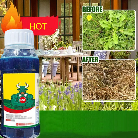 🔥【Powerful Concentrated Herbicide】— One drop in the soil. weeds vanish completely. One bottle covers 3.200 square meters! 🚜💥