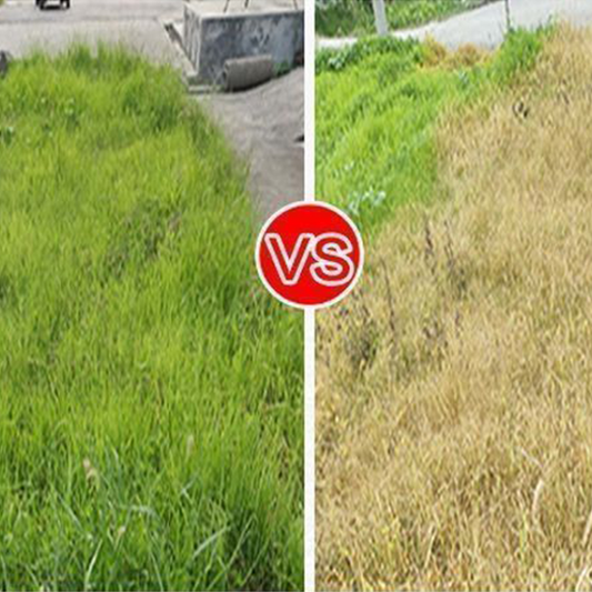 🔥【Powerful Concentrated Herbicide】— One drop in the soil. weeds vanish completely. One bottle covers 3.200 square meters! 🚜💥