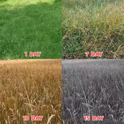 🔥【Powerful Concentrated Herbicide】— One drop in the soil. weeds vanish completely. One bottle covers 3.200 square meters! 🚜💥