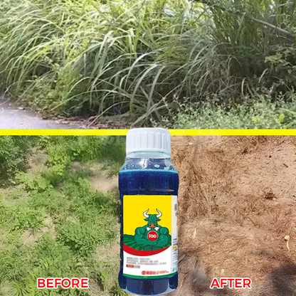 🔥【Powerful Concentrated Herbicide】— One drop in the soil. weeds vanish completely. One bottle covers 3.200 square meters! 🚜💥