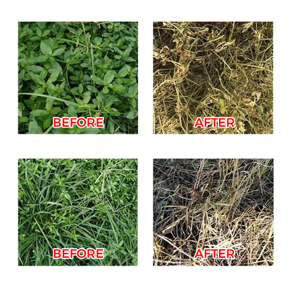 🔥【Powerful Concentrated Herbicide】— One drop in the soil. weeds vanish completely. One bottle covers 3.200 square meters! 🚜💥
