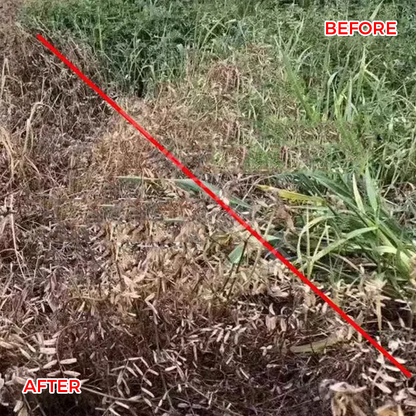 🔥【Powerful Concentrated Herbicide】— One drop in the soil. weeds vanish completely. One bottle covers 3.200 square meters! 🚜💥