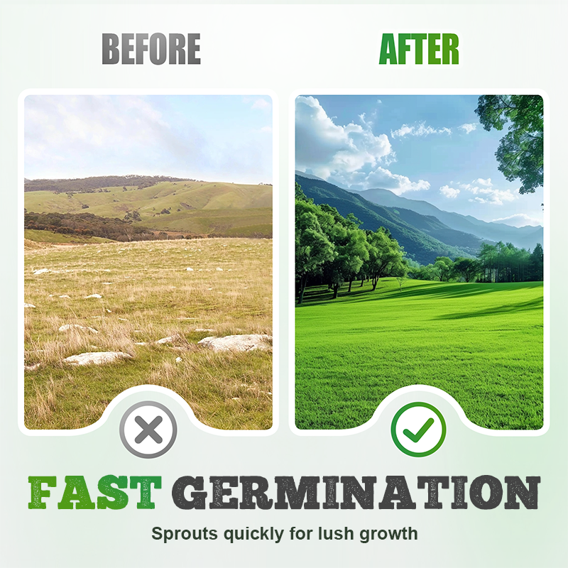 🌱  Cold-resistant. drought-resistant. pet-friendly garden grass seeds - evergreen lawn grass seeds