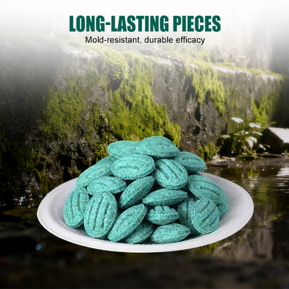 🎁Limited-time offer: Buy two. get one free High-Potency Rodent Bait✨